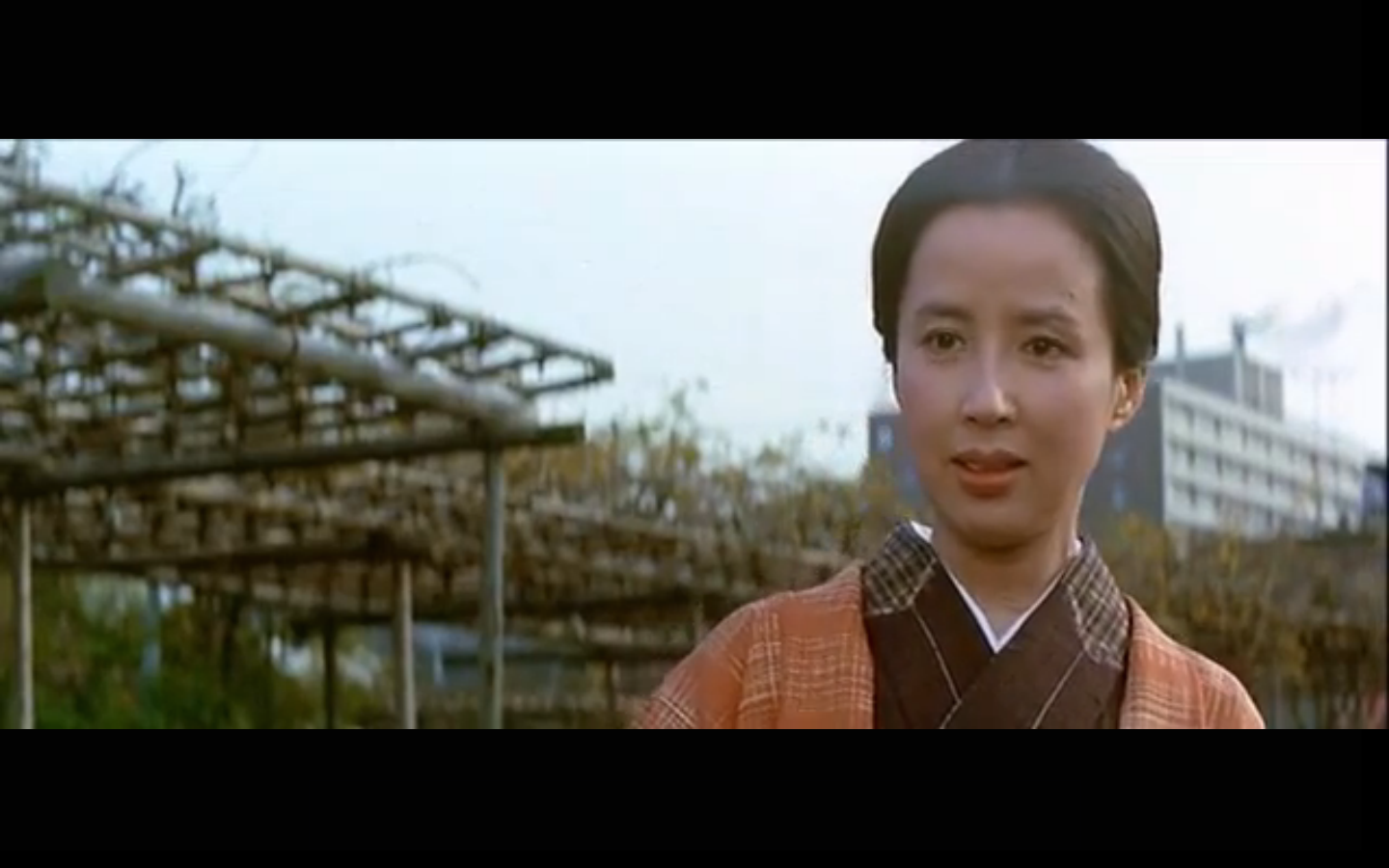 寅次郎的故事10：寅次郎美梦成真剧照的剧照