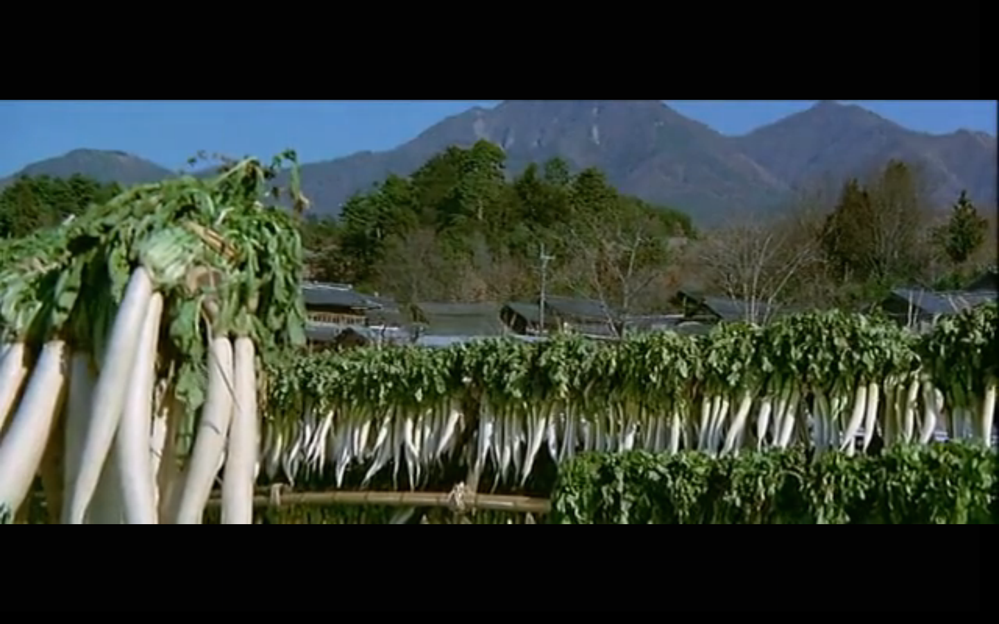 寅次郎的故事10：寅次郎美梦成真剧照的剧照