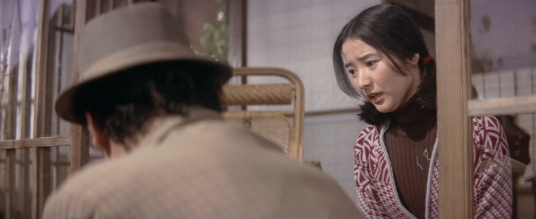 寅次郎的故事18：寅次郎纯情诗集剧照的剧照