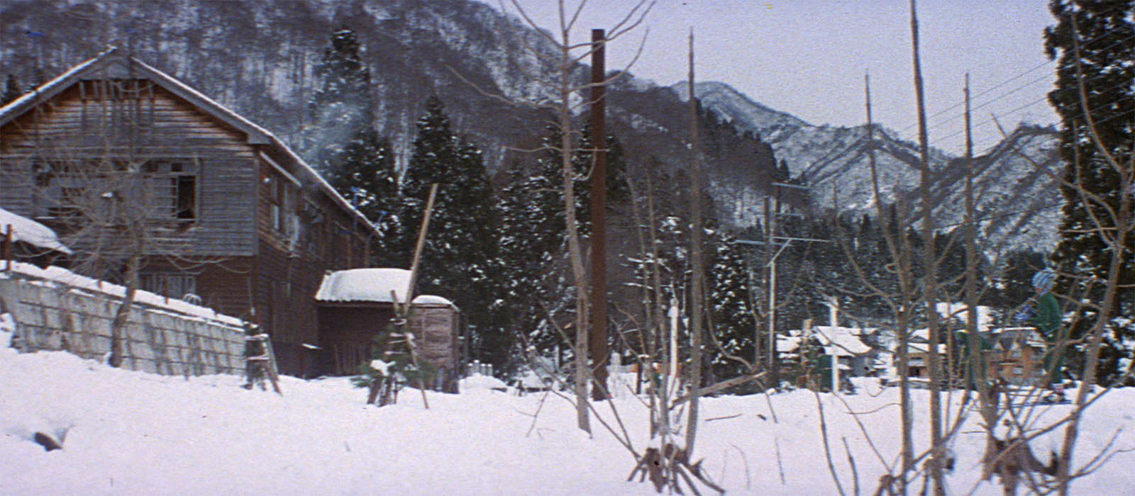 寅次郎的故事18：寅次郎纯情诗集剧照的剧照