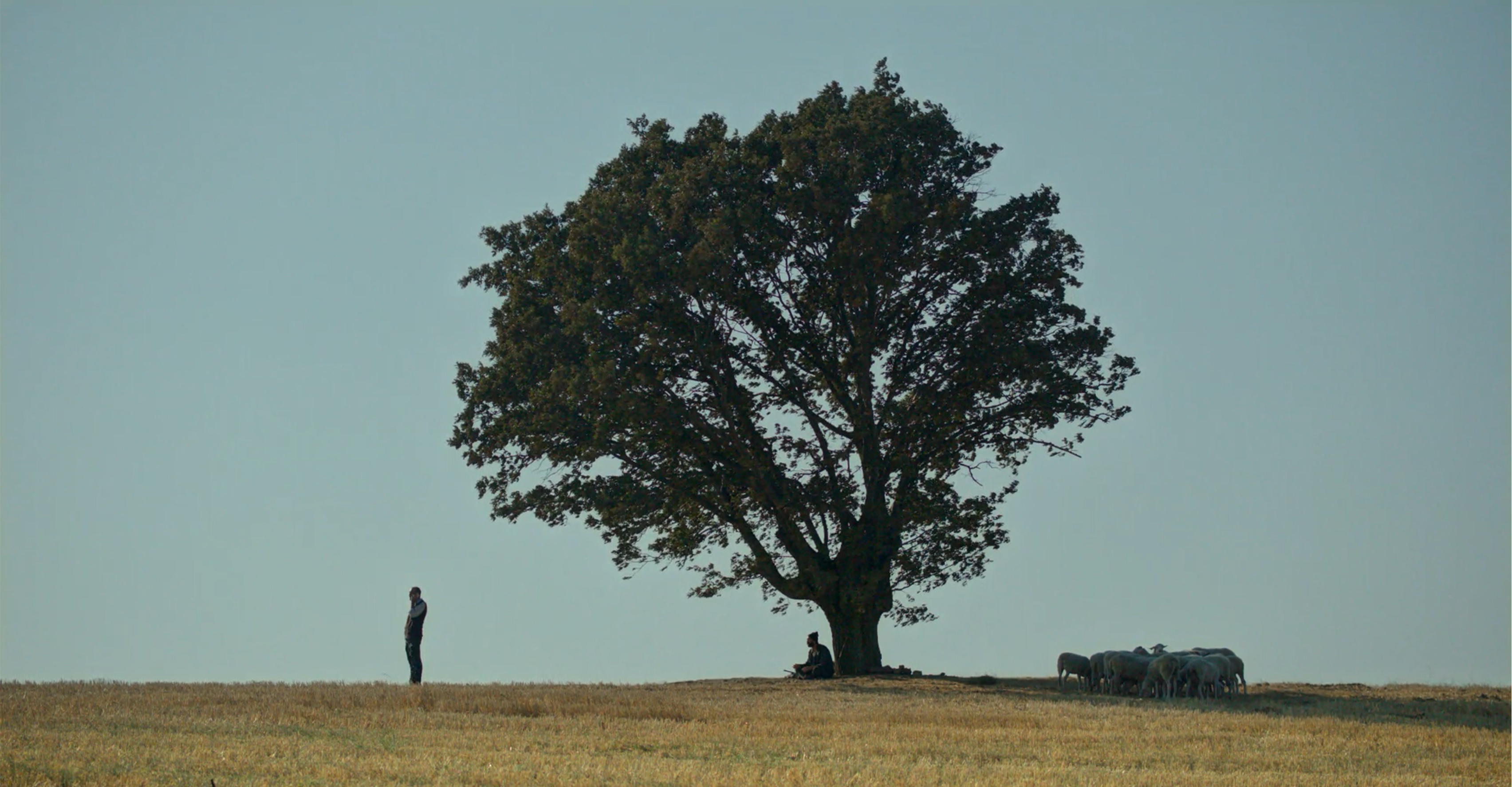 哈桑的义务剧照的剧照