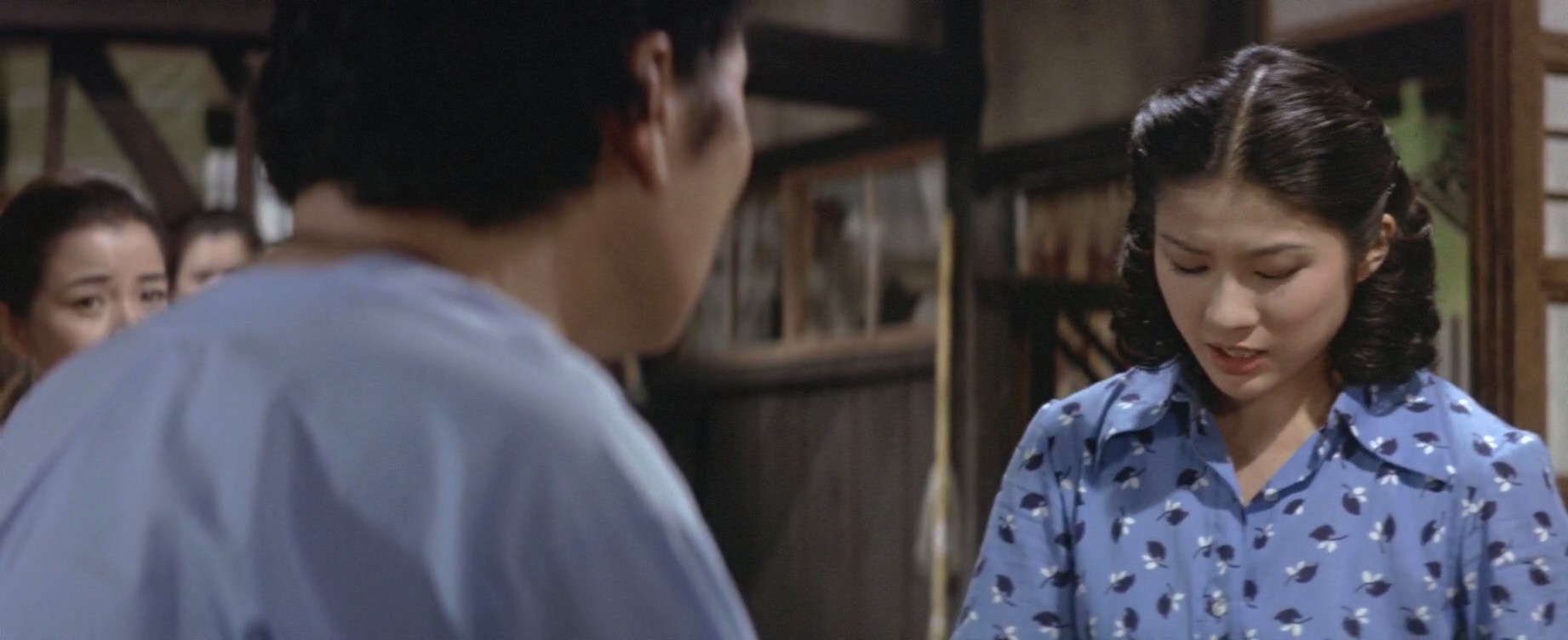 寅次郎的故事19：寅次郎与贵族剧照的剧照