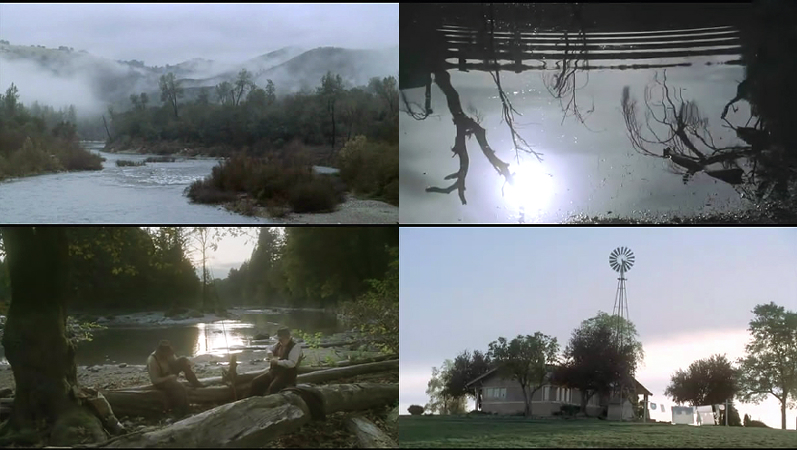 真爱复苏剧照的剧照