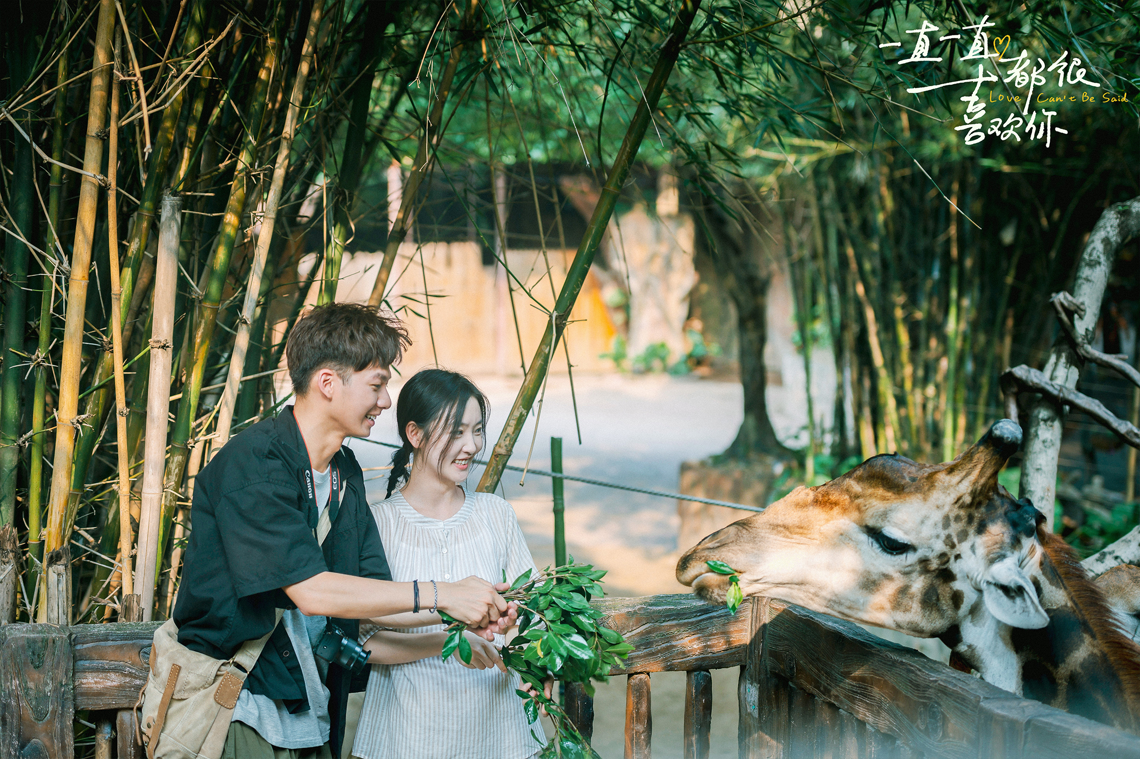 一直一直都很喜欢你剧照的剧照