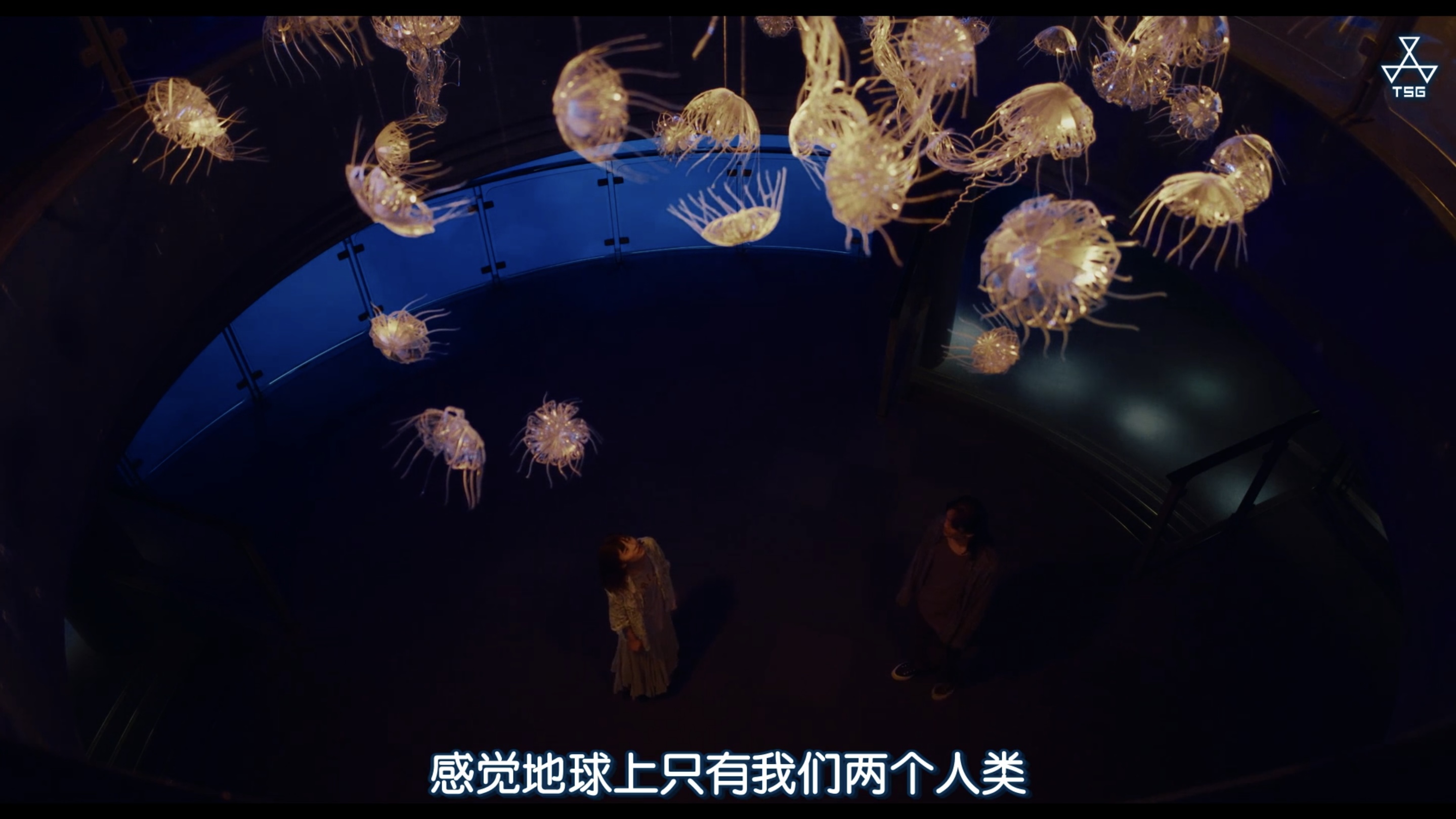 稍微想起一些剧照的剧照