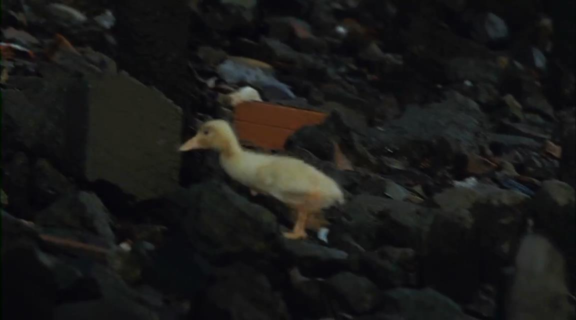 迷失天堂剧照的剧照