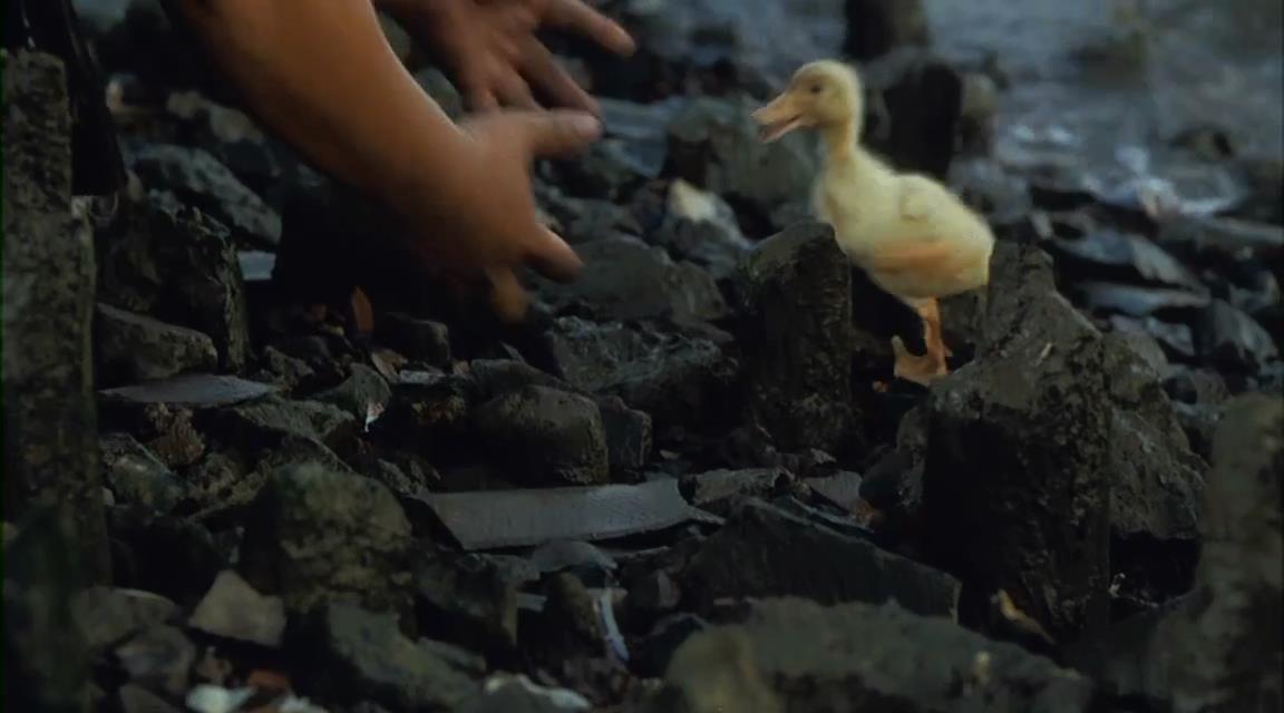 迷失天堂剧照的剧照