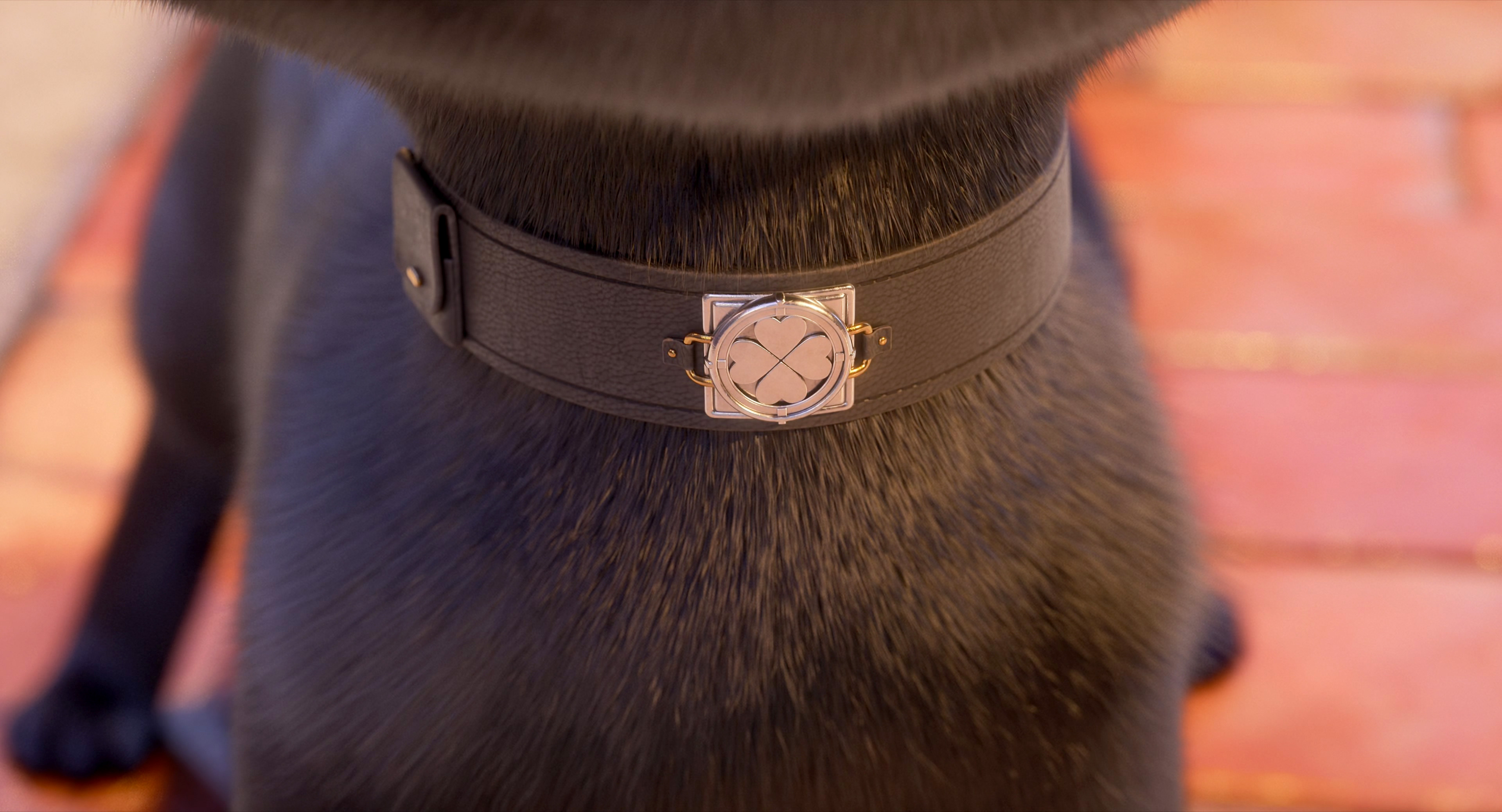 祝你好运剧照的剧照