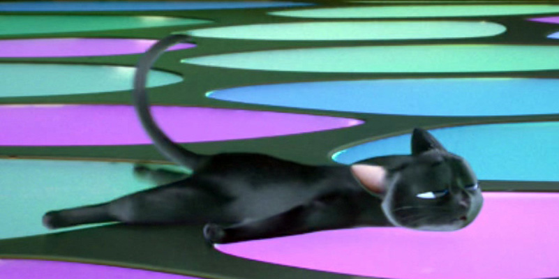 祝你好运剧照的剧照