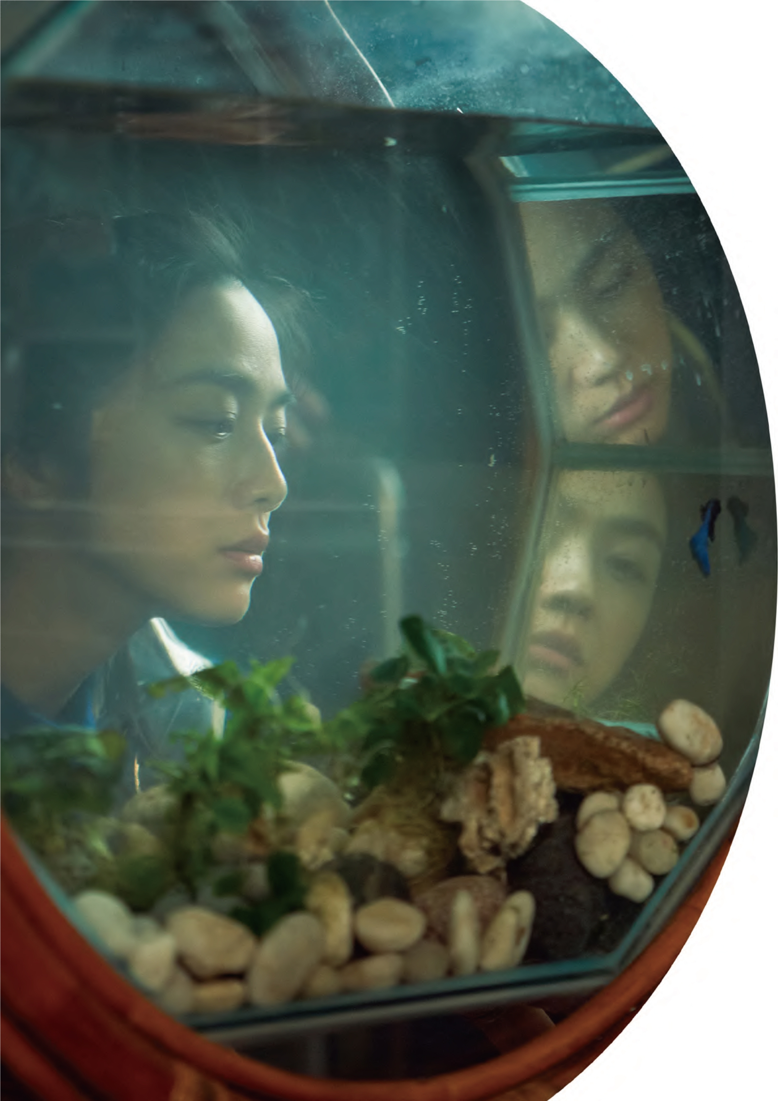 分手的决心剧照的剧照