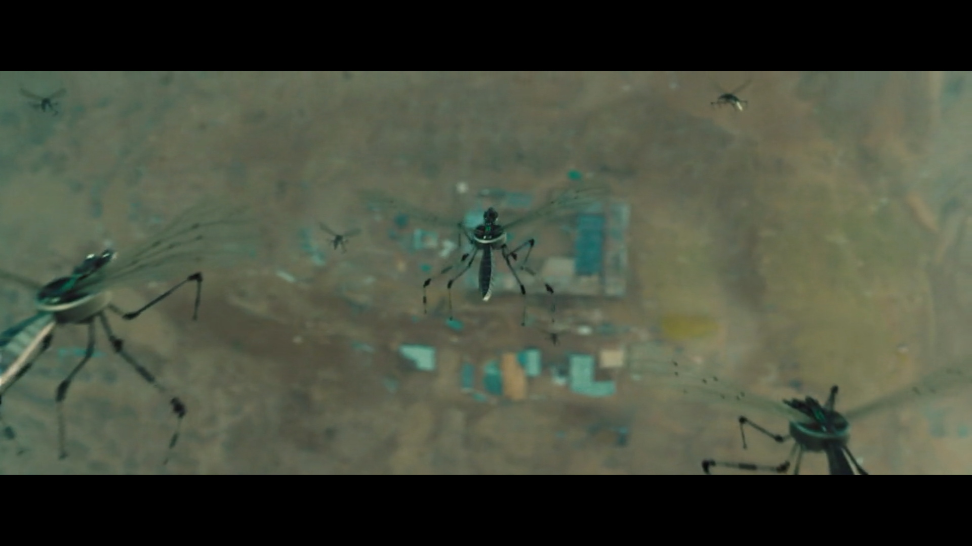 狼群剧照的剧照