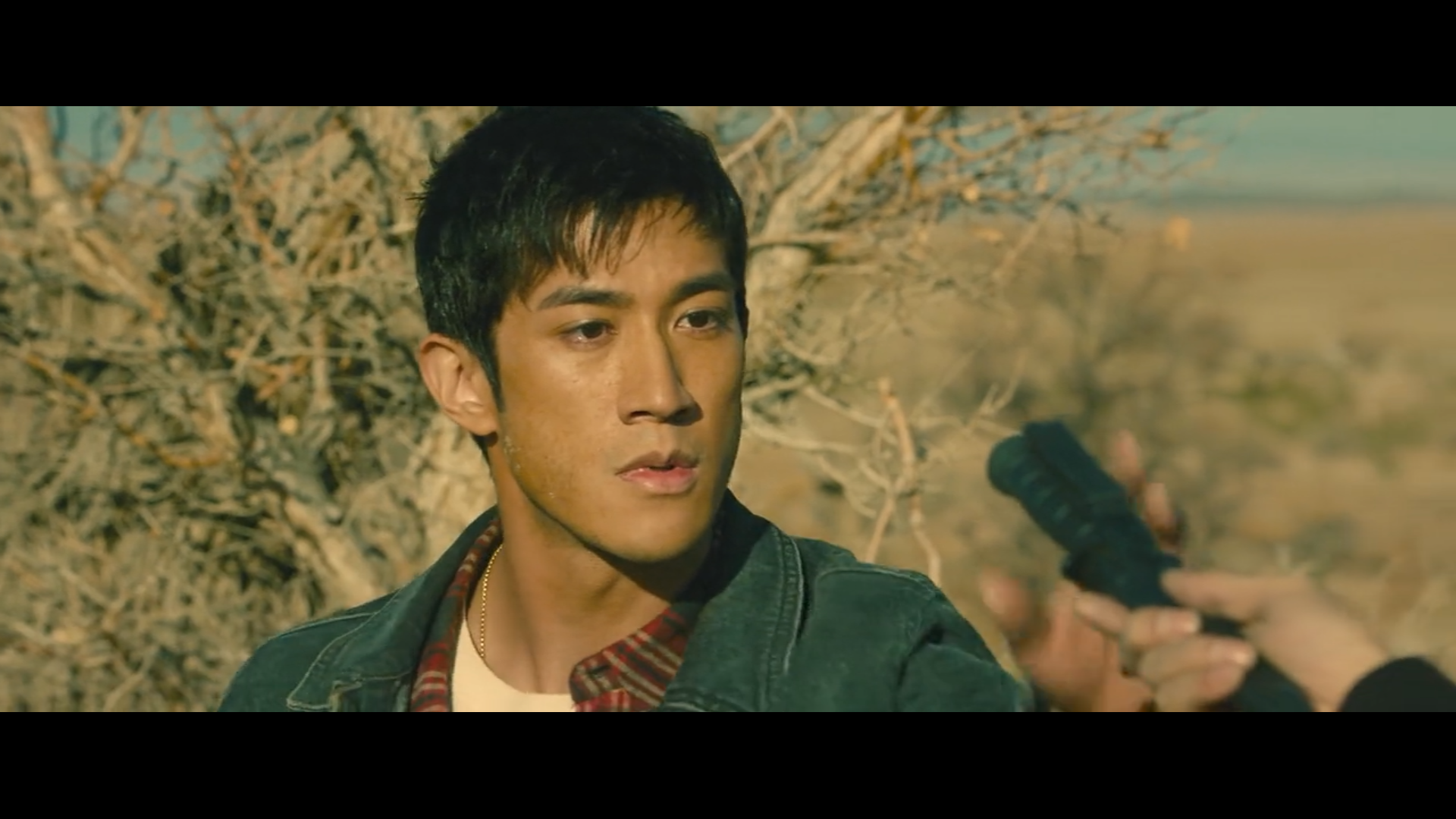 狼群剧照的剧照