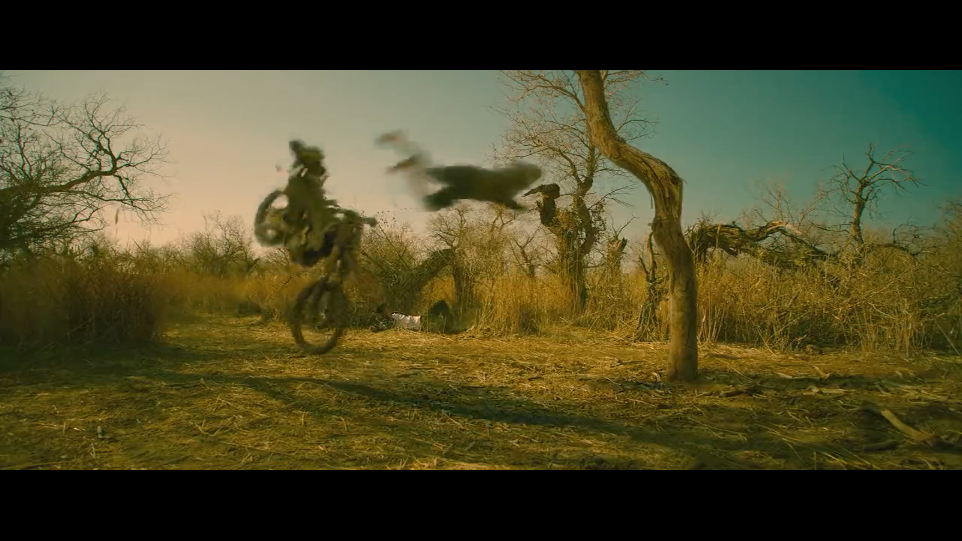 狼群剧照的剧照