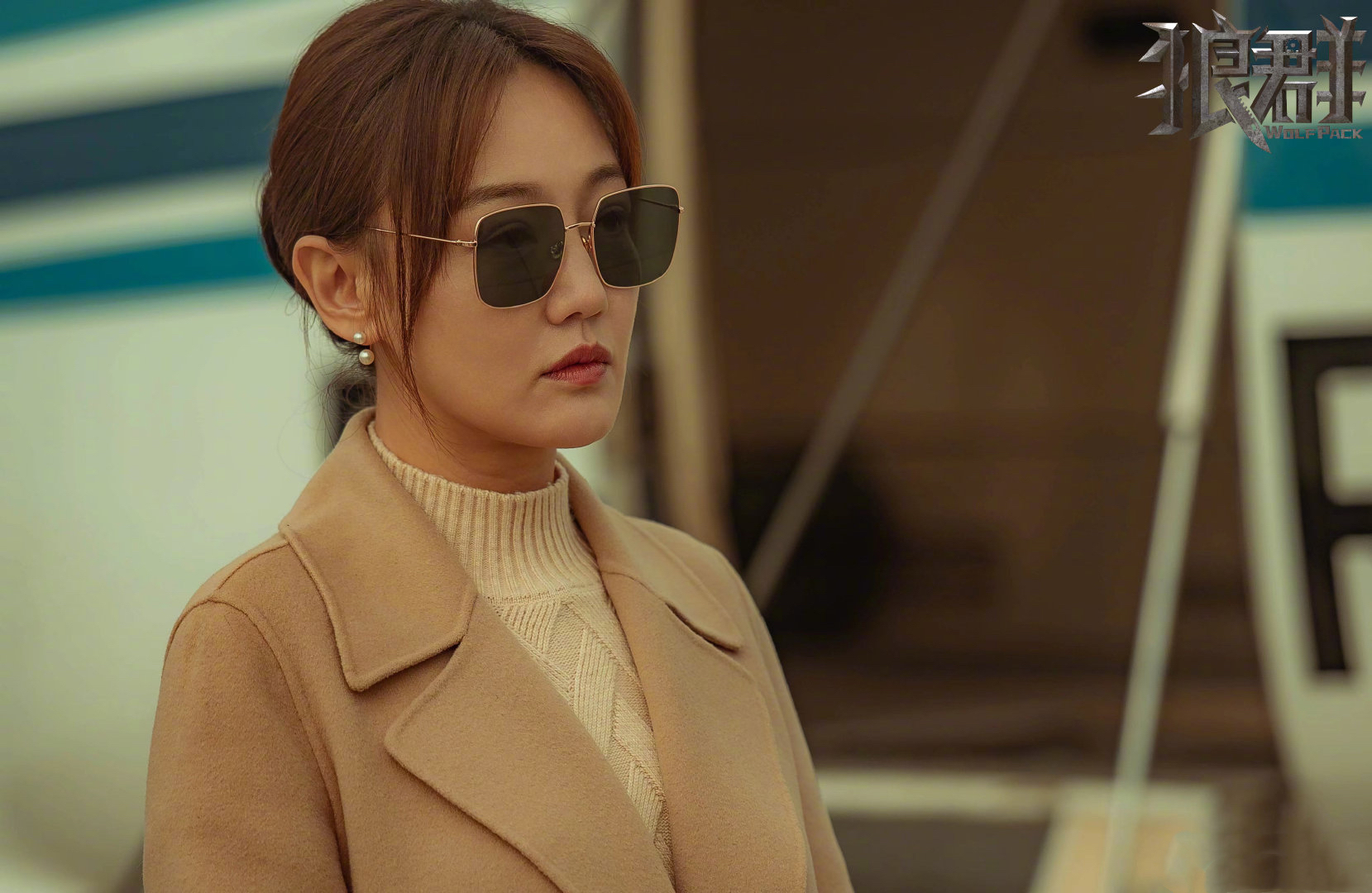 狼群剧照的剧照