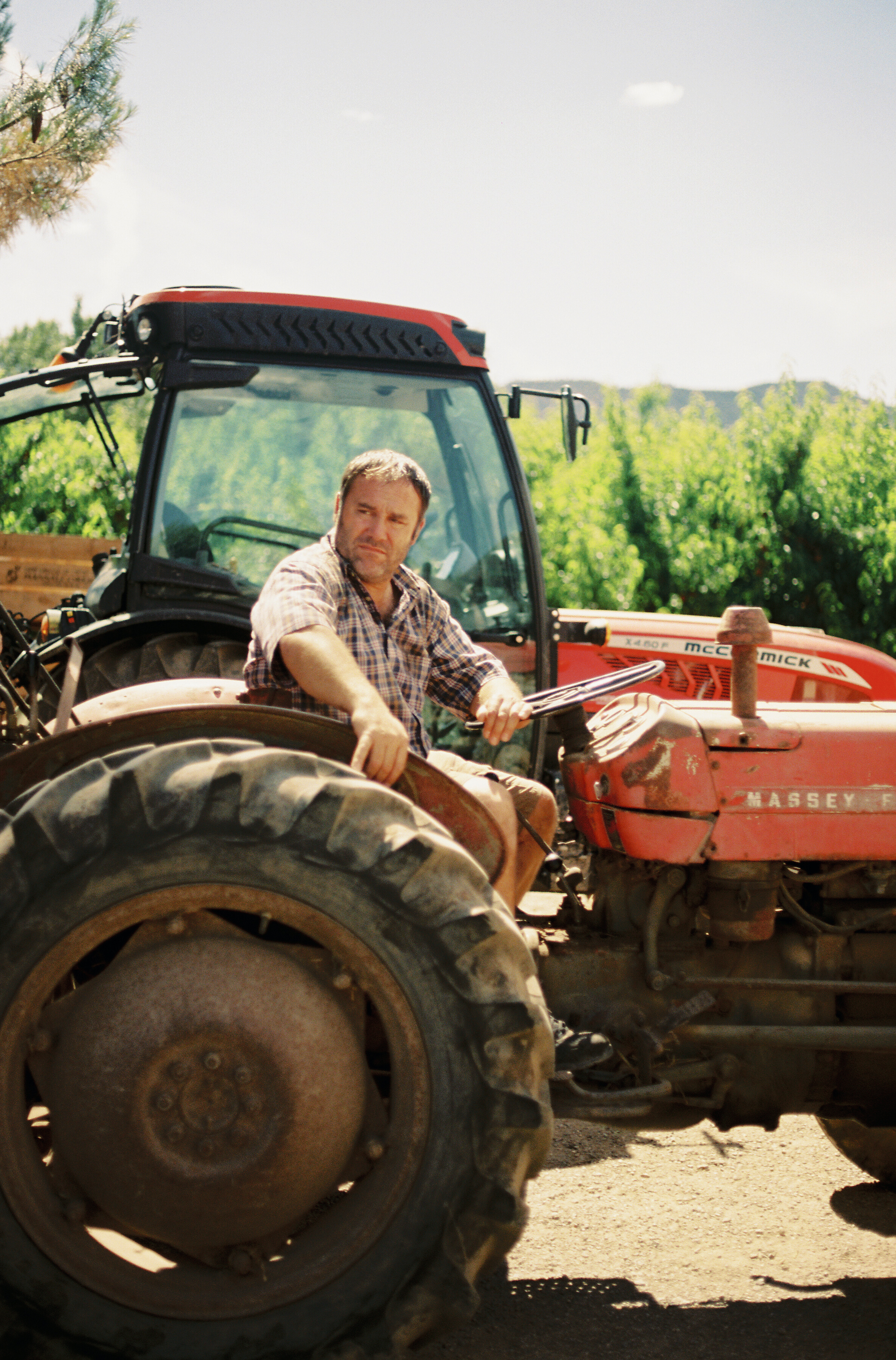 阿尔卡拉斯剧照的剧照