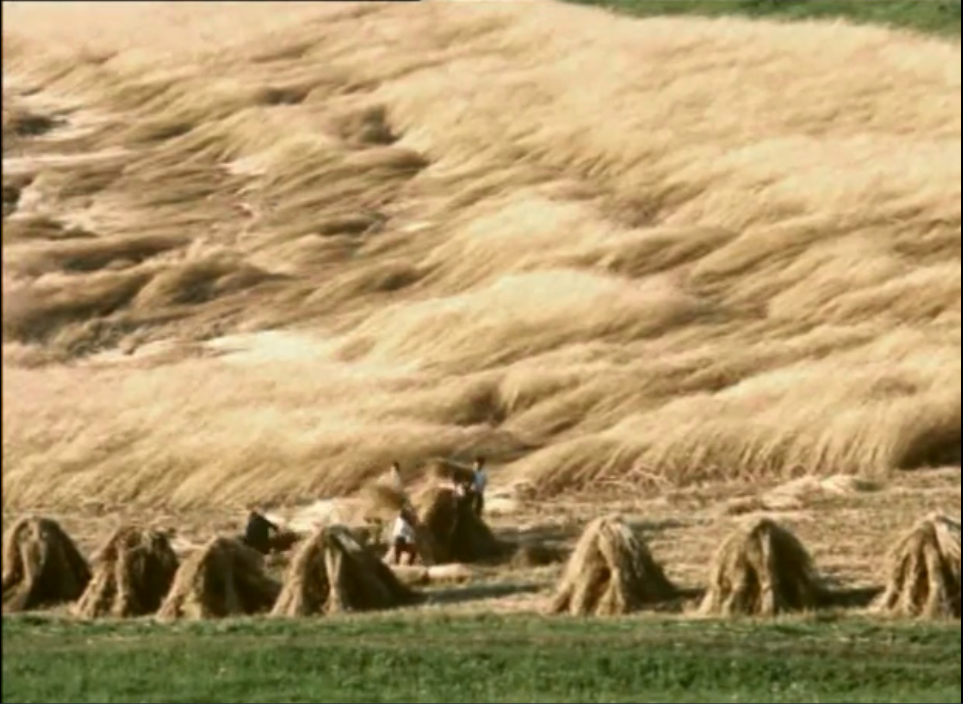 一切善良的市民们剧照的剧照
