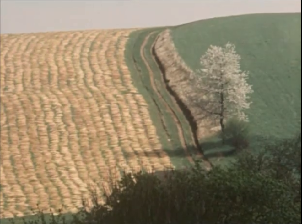 一切善良的市民们剧照的剧照