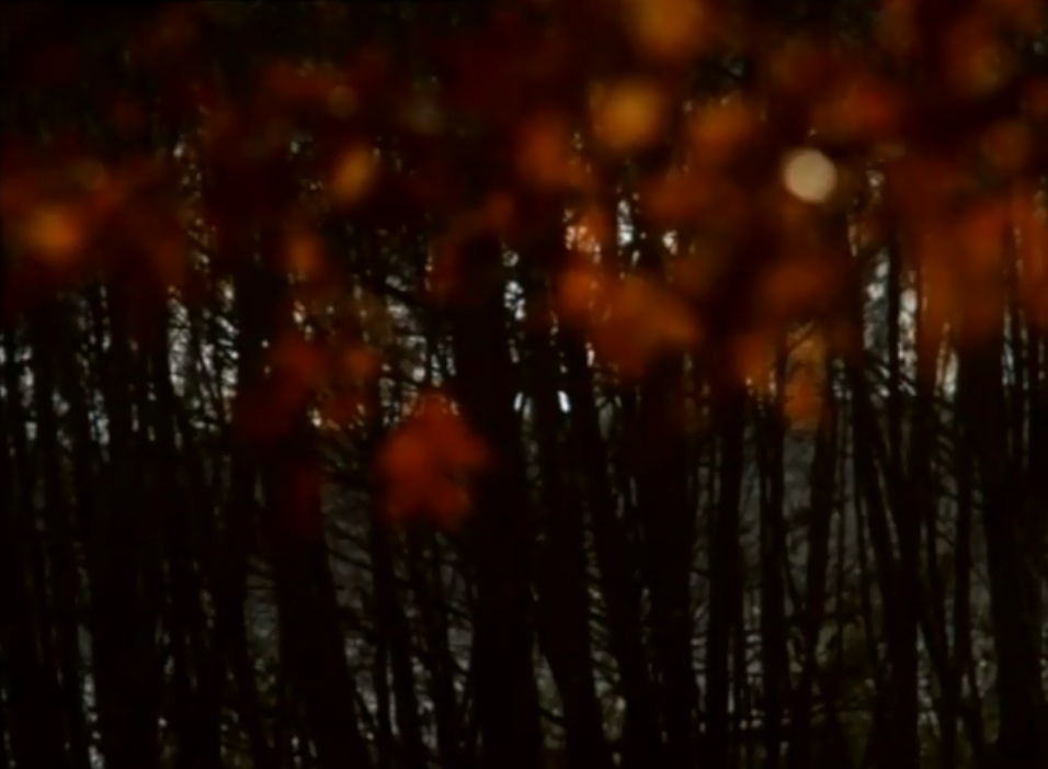 一切善良的市民们剧照的剧照