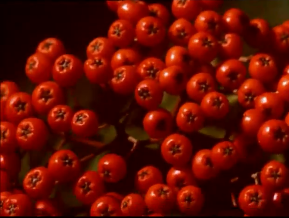 一切善良的市民们剧照的剧照