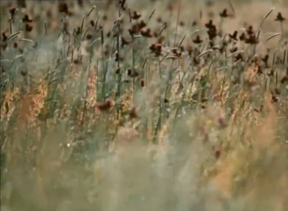 一切善良的市民们剧照的剧照