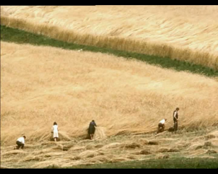 一切善良的市民们剧照的剧照