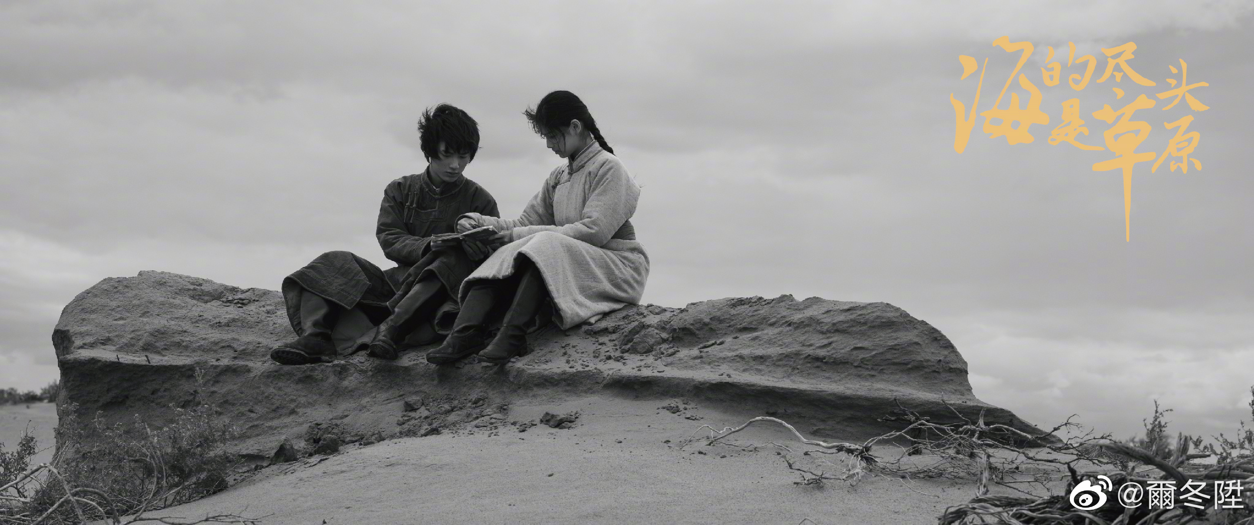 海的尽头是草原剧照的剧照