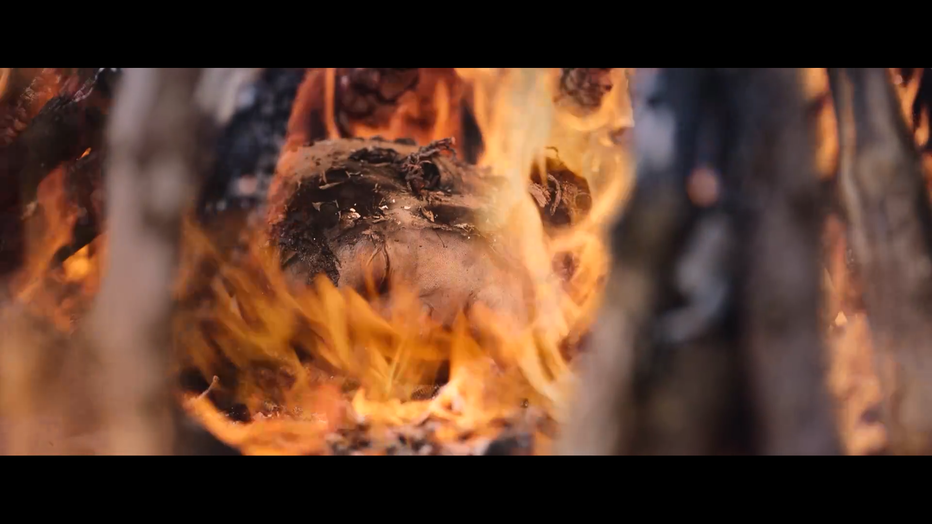 成人级爱情剧照的剧照