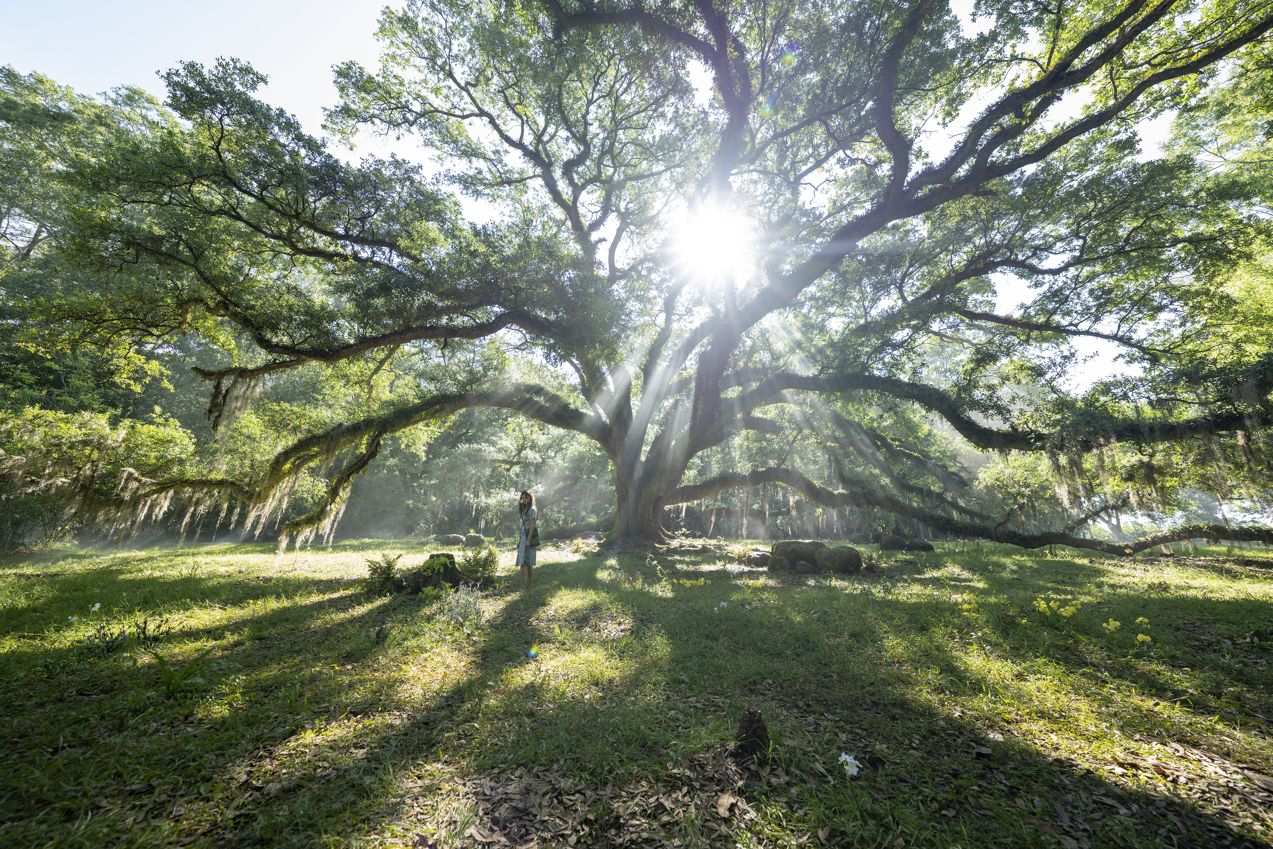 沼泽深处的女孩剧照的剧照