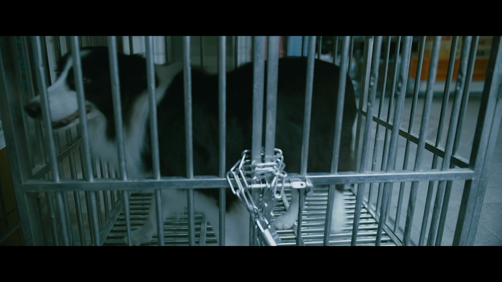 该死的阿修罗剧照的剧照