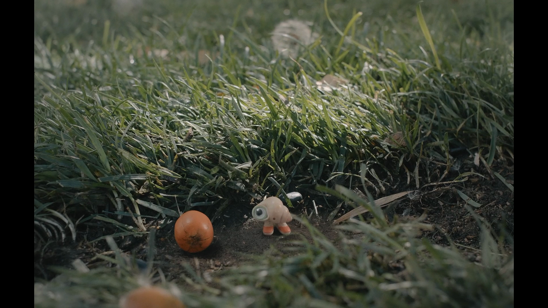 穿着鞋子的贝壳马塞尔剧照的剧照