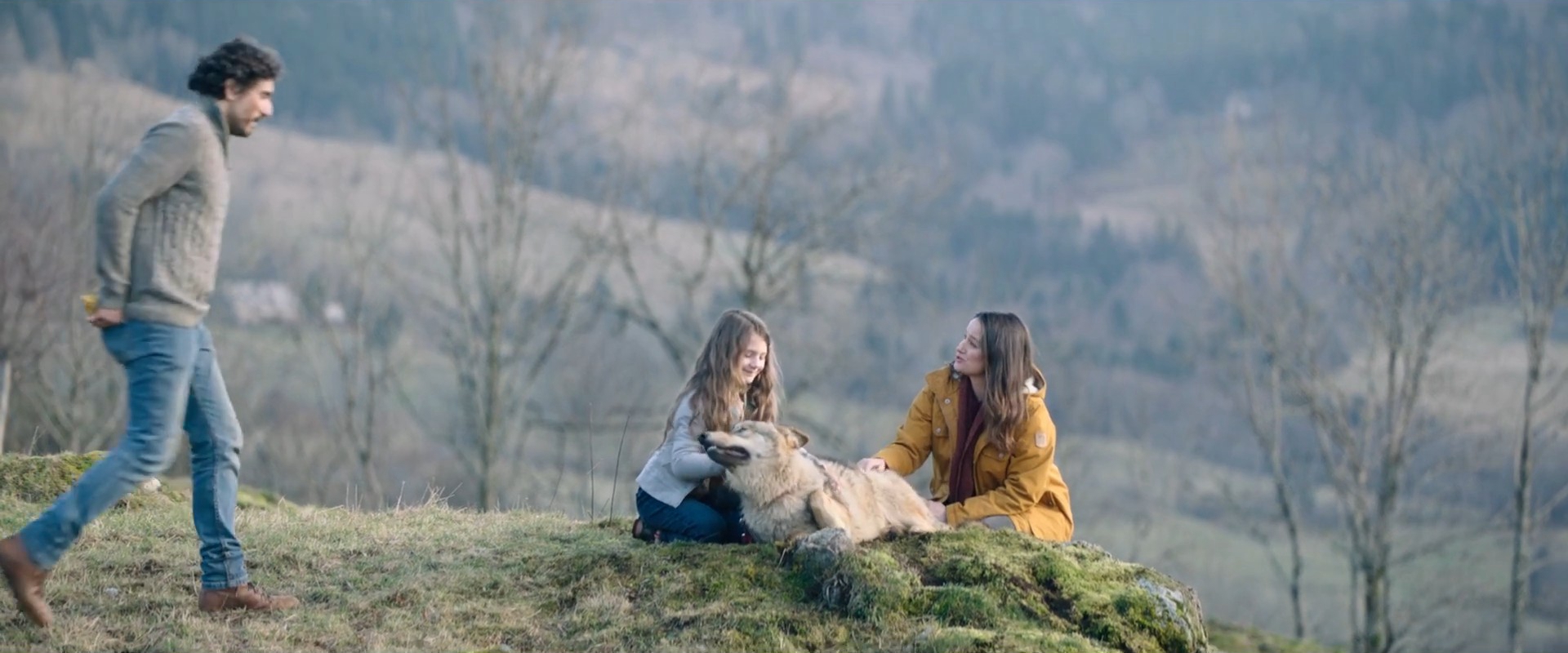 薇琪的秘密剧照的剧照