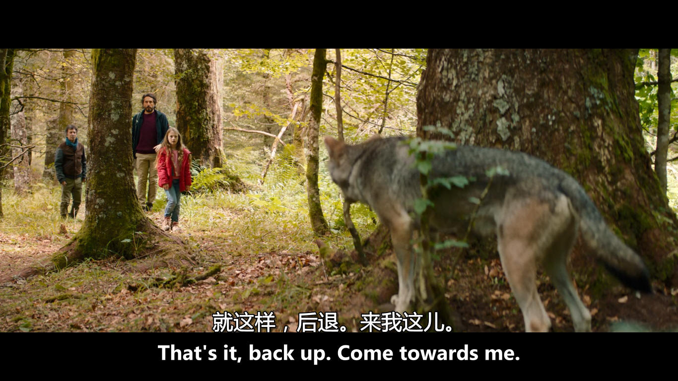 薇琪的秘密剧照的剧照