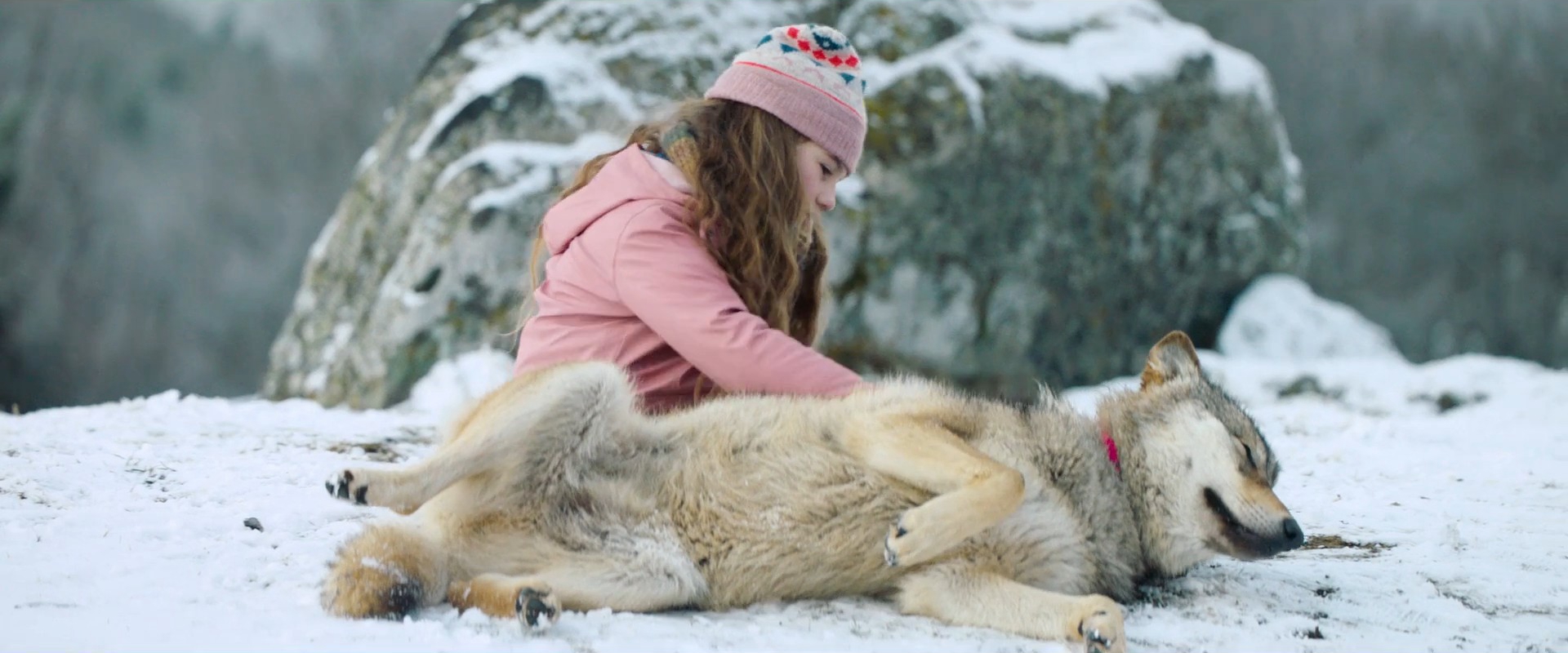 薇琪的秘密剧照的剧照