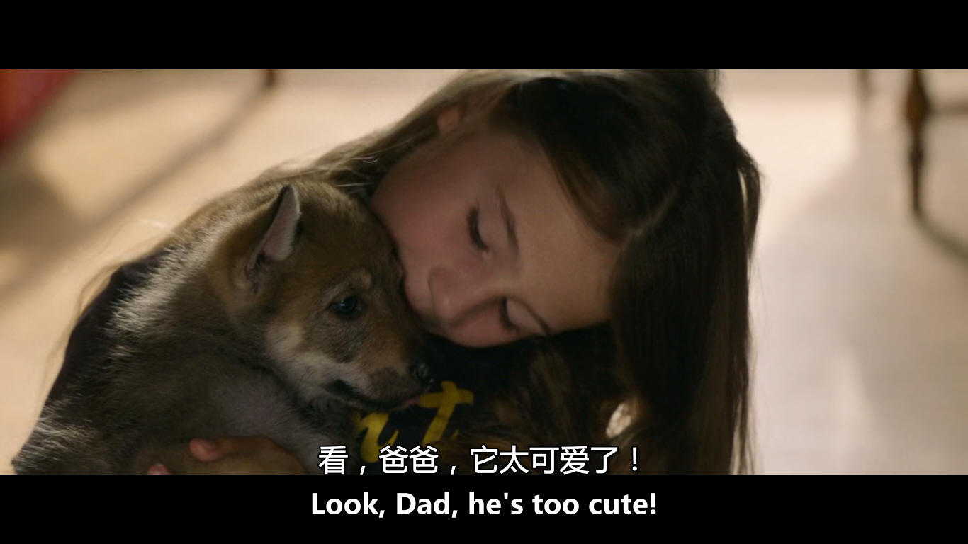 薇琪的秘密剧照的剧照