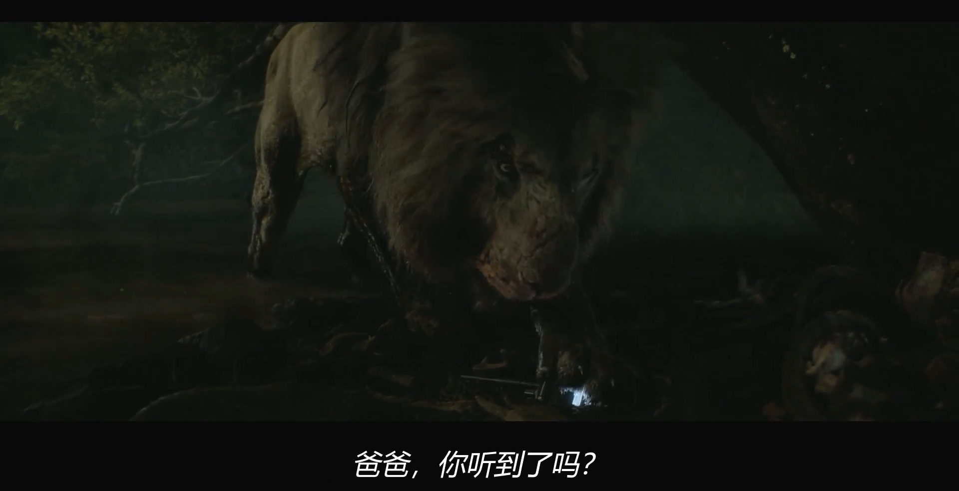 野兽剧照的剧照