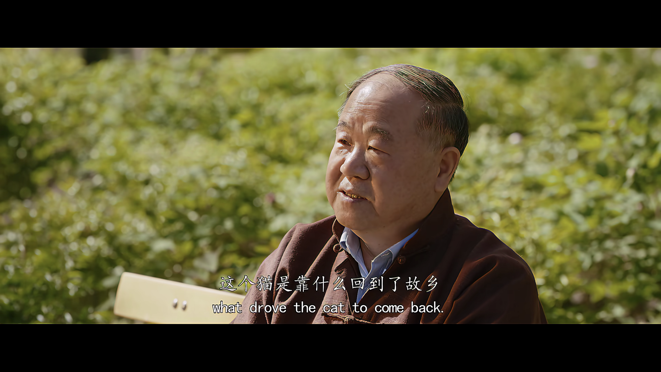 无负今日剧照的剧照