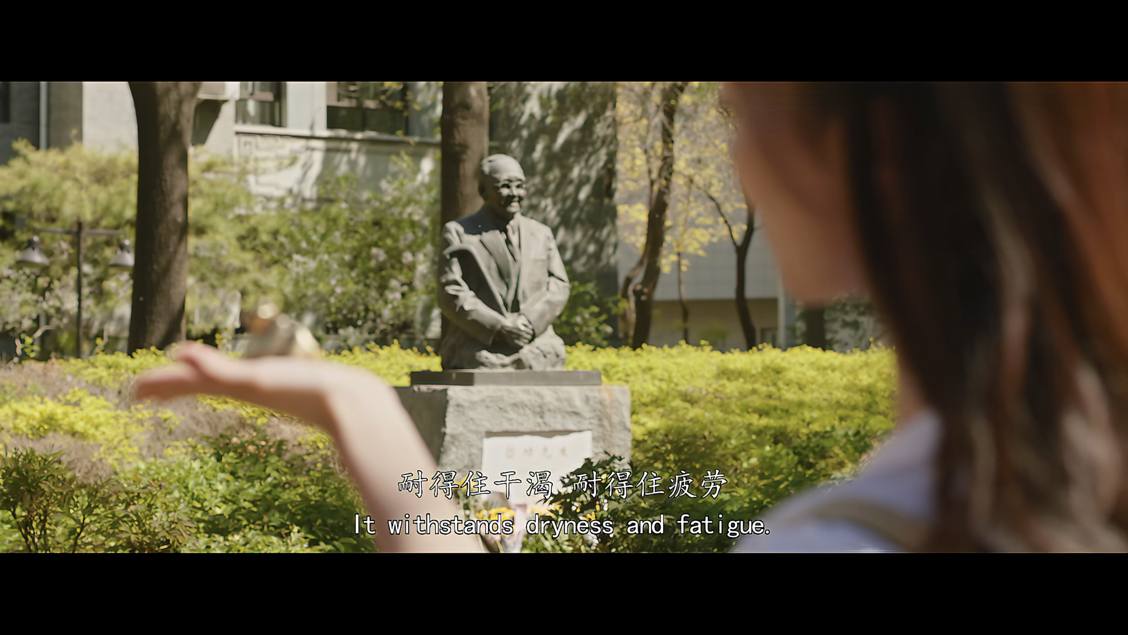 无负今日剧照的剧照