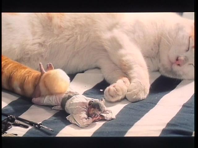 水的旅行者剧照的剧照