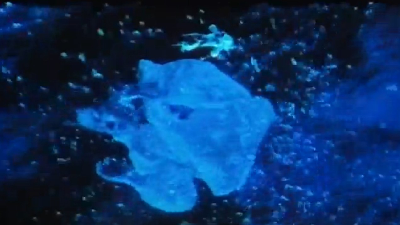 水的旅行者剧照的剧照