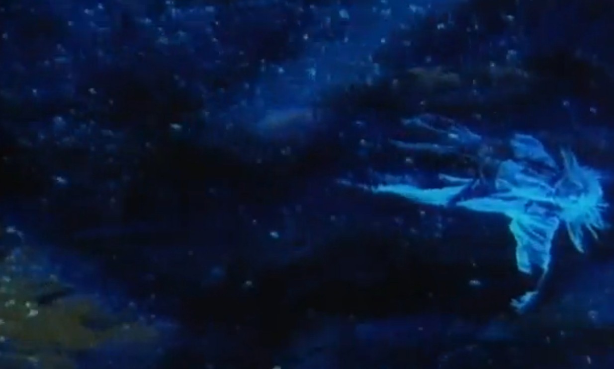 水的旅行者剧照的剧照