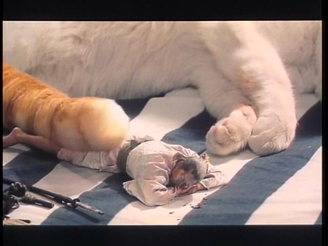 水的旅行者剧照的剧照