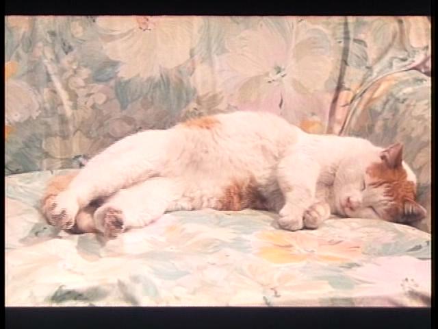 水的旅行者剧照的剧照