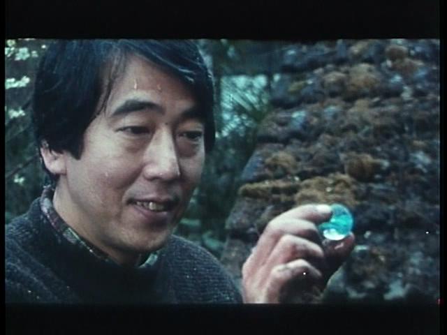 水的旅行者剧照的剧照