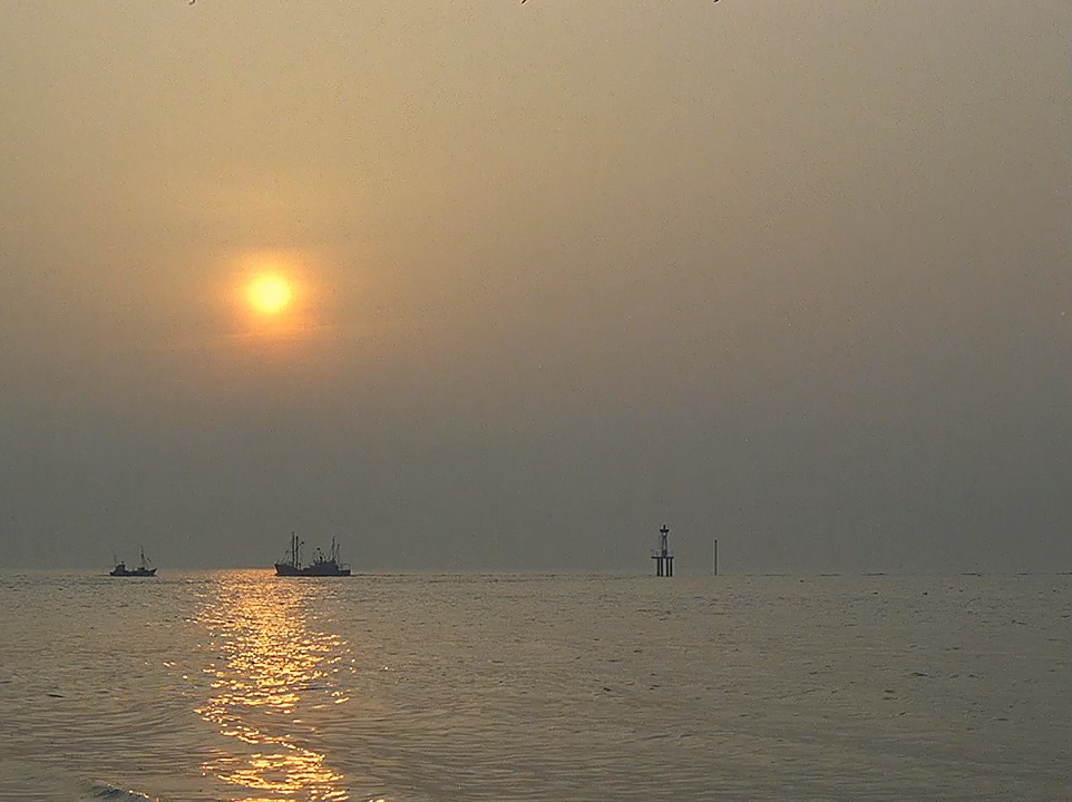 芳名卡门剧照的剧照