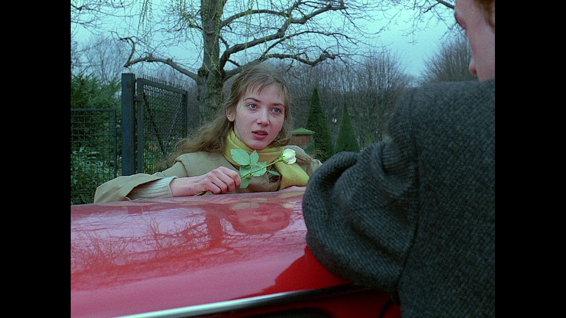 芳名卡门剧照的剧照