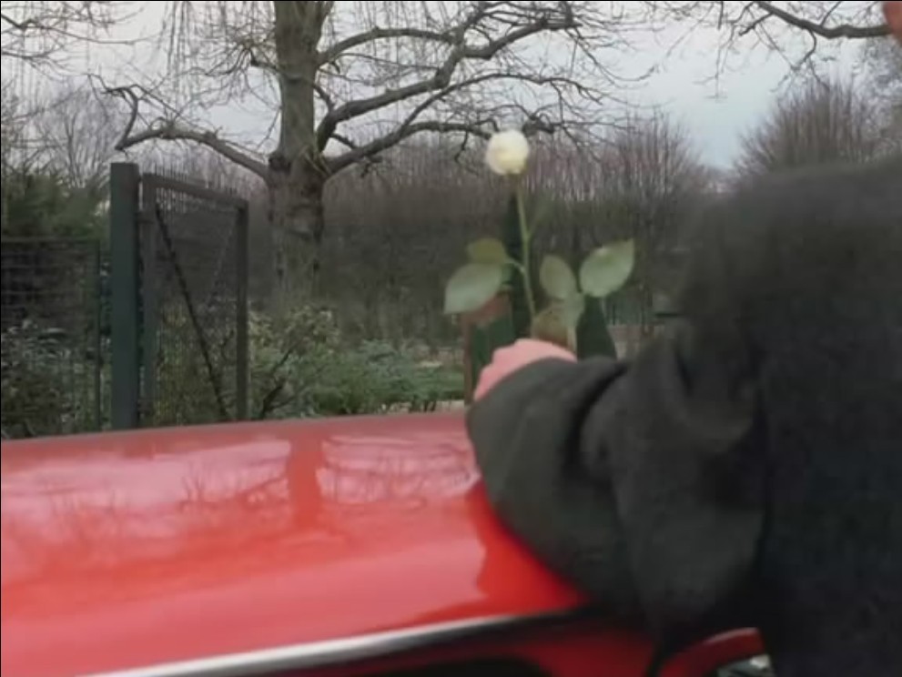 芳名卡门剧照的剧照