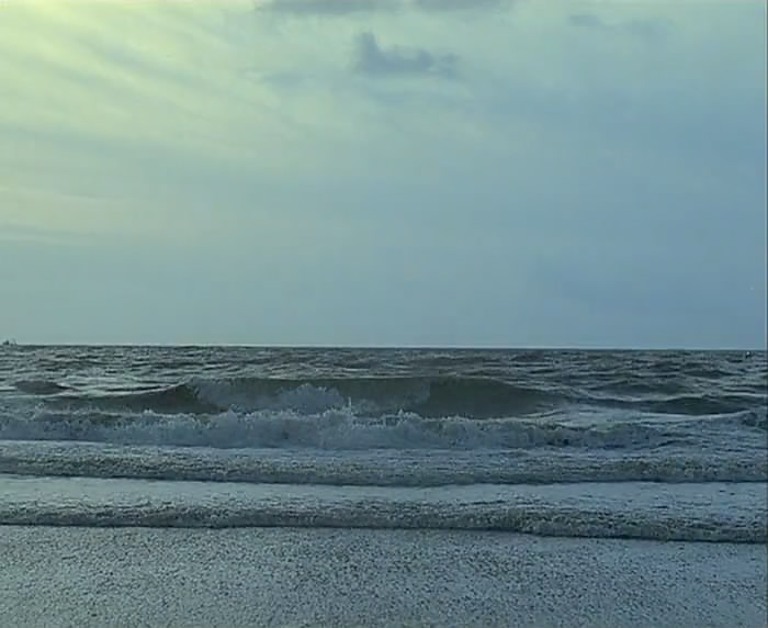 芳名卡门剧照的剧照