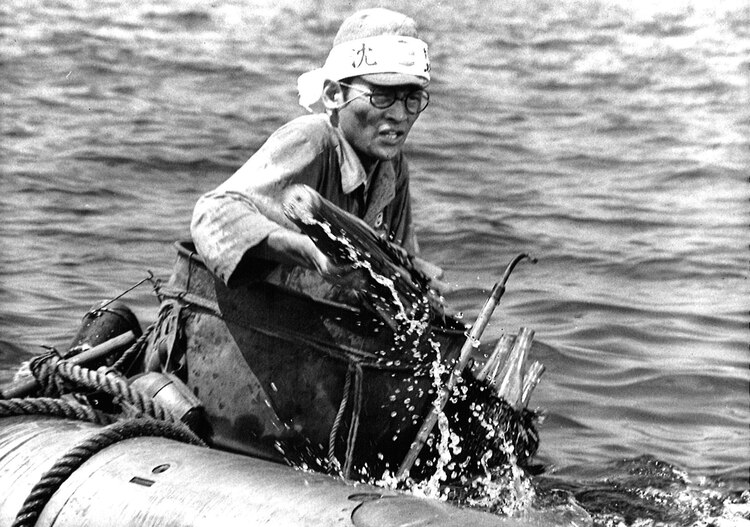 肉弹剧照的剧照