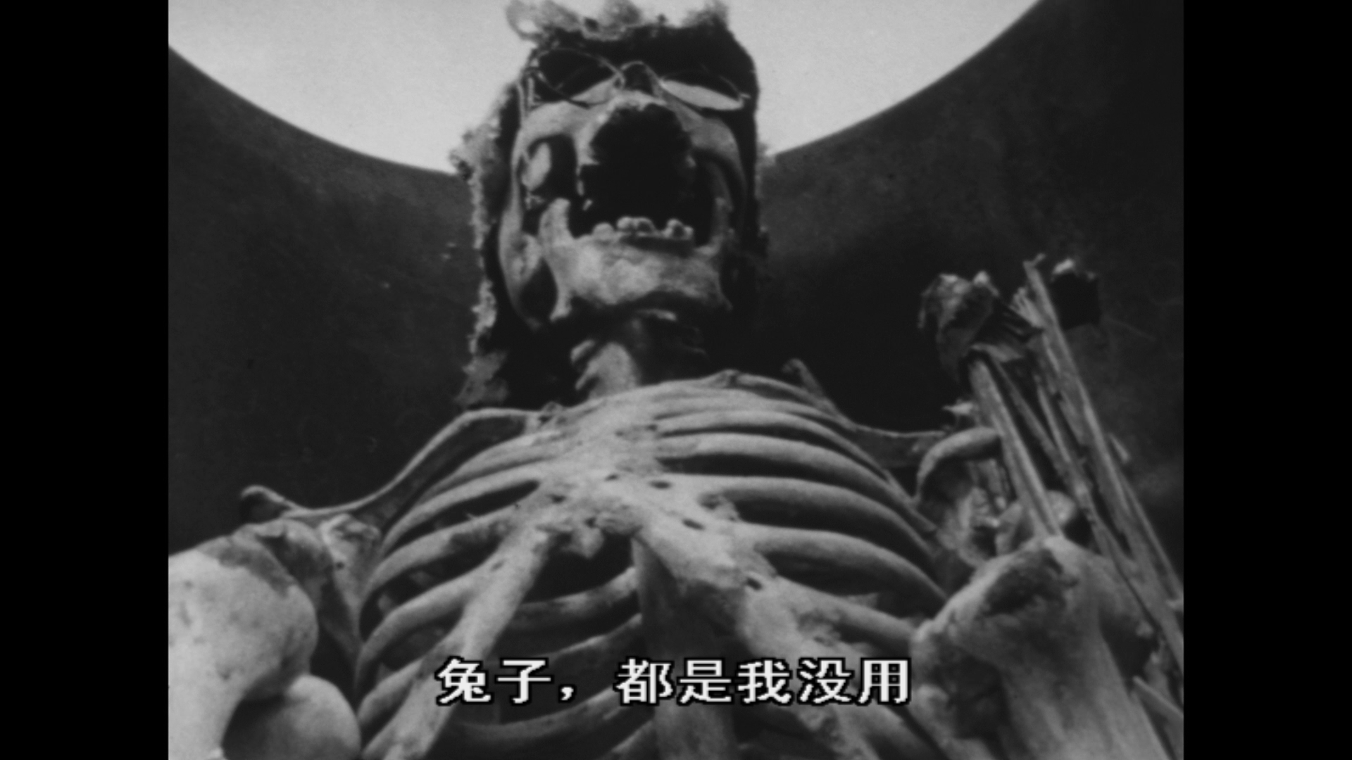 肉弹剧照的剧照