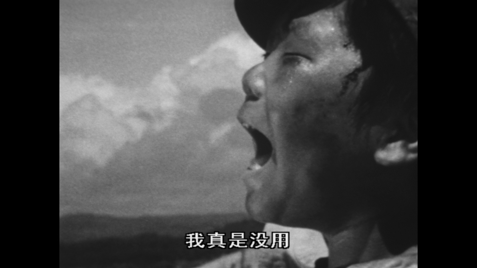 肉弹剧照的剧照